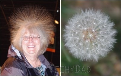 nana-dandelion
