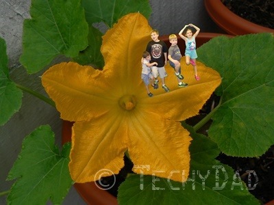 Kids On A Flower