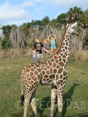 Kids On A Giraffe