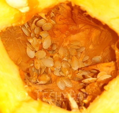 pumpkin_inside