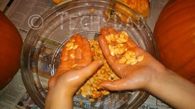 pumpkin_seed_hands