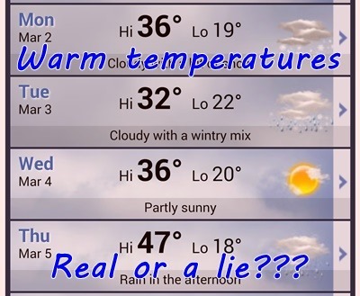 warm_temps