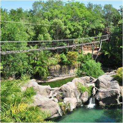 bridge bridge