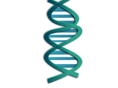 DNA