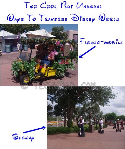 ww-traveling-disney