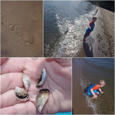 beach1 beach1